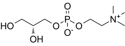 Choline glycerophosphateͼƬ