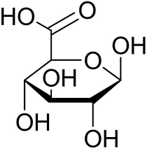 D-Glucuronic acidͼƬ