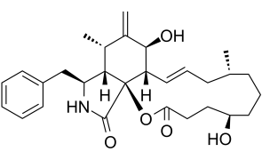 Dihydrocytochalasin BͼƬ