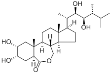 BrassinolideͼƬ