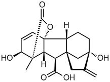 GibberellinͼƬ