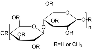 Methyl cellulose图片