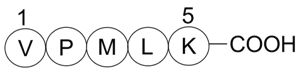 Bax inhibitor peptide V5ͼƬ