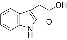 3-Indoleacetic acidͼƬ