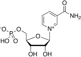 -Nicotinamide mononucleotideͼƬ