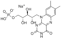 Riboflavin phosphate sodiumͼƬ