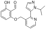 voxelotorͼƬ