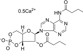 Bucladesine calciumͼƬ