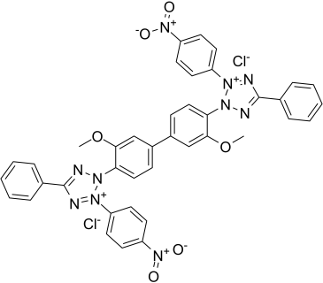 Nitrotetrazolium Blue chlorideͼƬ