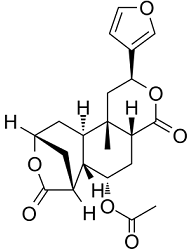 8-Epidiosbulbin E acetateͼƬ