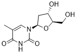 ThymidineͼƬ