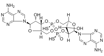 STING-Inducer-1ͼƬ