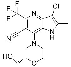 PF-06869206ͼƬ