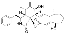 Cytochalasin BͼƬ