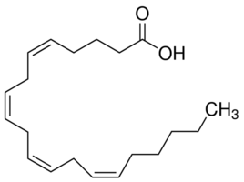 Arachidonic acidͼƬ