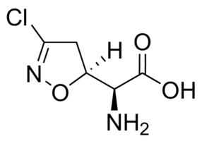 AcivicinͼƬ