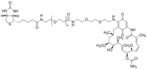 Geldanamycin-BiotinͼƬ