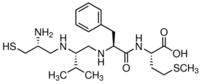 B581图片