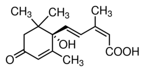 Abscisic AcidͼƬ