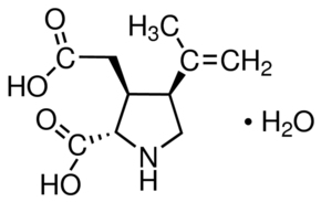 Kainic acid monohydrateͼƬ