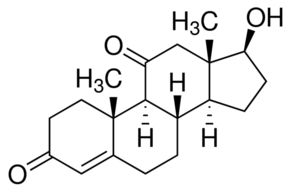 11-KetotestosteroneͼƬ