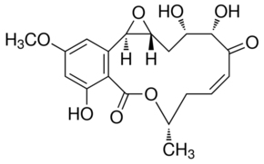 HypothemycinͼƬ