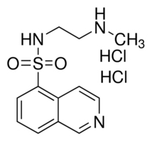 H-8 dihydrochlorideͼƬ