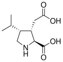 Dihydrokainic acidͼƬ