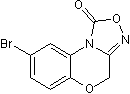 NS 2028ͼƬ