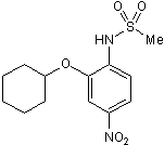 NS 398ͼƬ