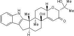 PaxillineͼƬ