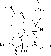 Phorbol 12,13-dibutyrateͼƬ