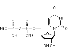 UDP disodium saltͼƬ