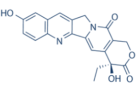 10-HydroxycamptothecinͼƬ