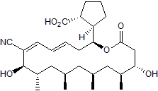 BorrelidinͼƬ