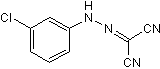 CCCP apoptosis inducerͼƬ