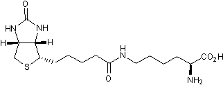 Biocytin图片