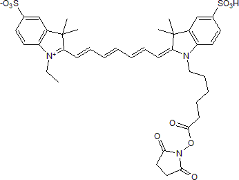 Cyanine 7,SEͼƬ