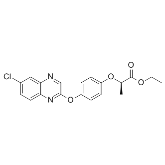 Quizalofop-p-ethylͼƬ