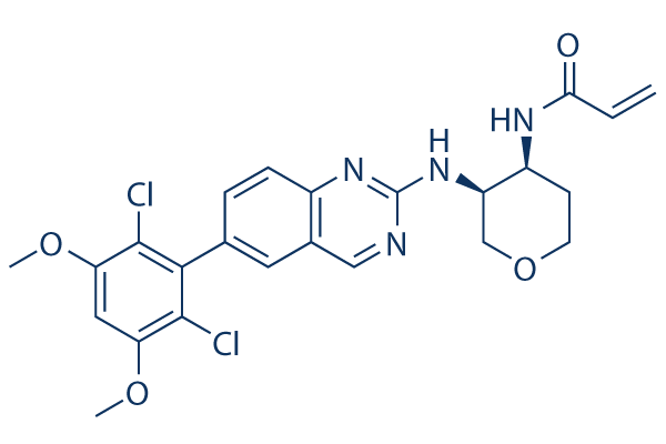 Fisogatinib(BLU-554)图片