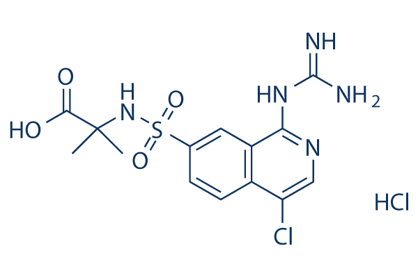 UK-371804图片