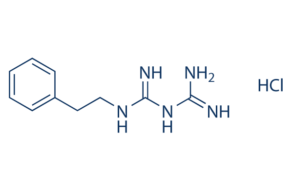 Phenformin HClͼƬ