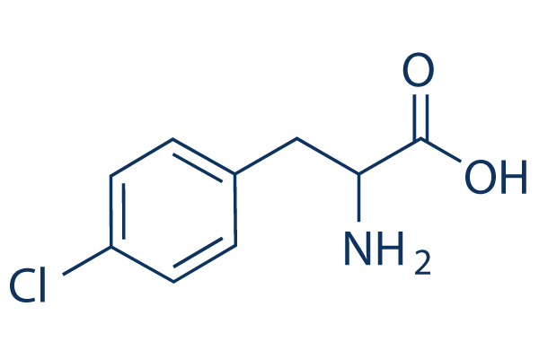 4-Chloro-DL-phenylalanineͼƬ