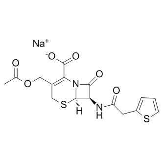 Cephalothin sodiumͼƬ