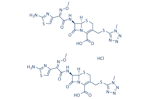 Cefmenoxime HClͼƬ