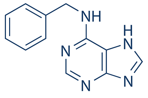 6-BenzylaminopurineͼƬ