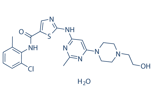 Dasatinib MonohydrateͼƬ