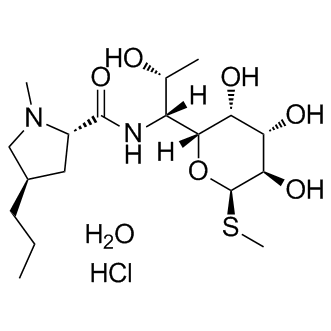 Lincomycin hydrateͼƬ