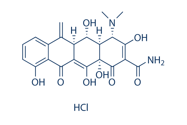 Methacycline HClͼƬ