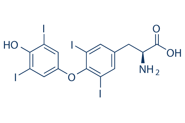 L-ThyroxineͼƬ